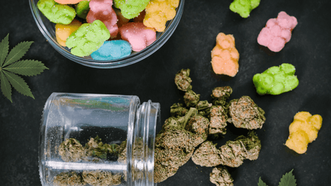Image of Delta THC bud and CBD gummie bears