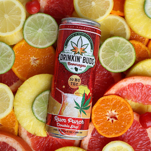 A chilled can of Drinkin’ Buds Rum Punch Double Shot rests on a vibrant bed of sliced pineapples, oranges, limes, lemons, and grapefruits, highlighting its bold tropical flavors.