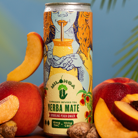 Peach - Ginger Yerba Mate Drinks (CBD/THC Infused 5-10 mg)