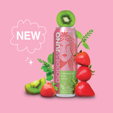 Strawberry Kiwi Shiso THC Infused Social Elixir