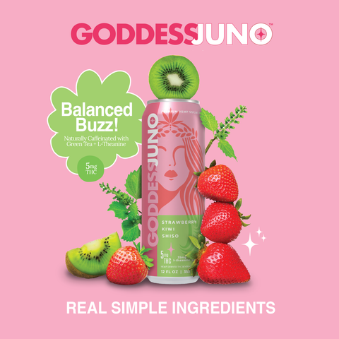 Strawberry Kiwi Shiso THC Infused Social Elixir