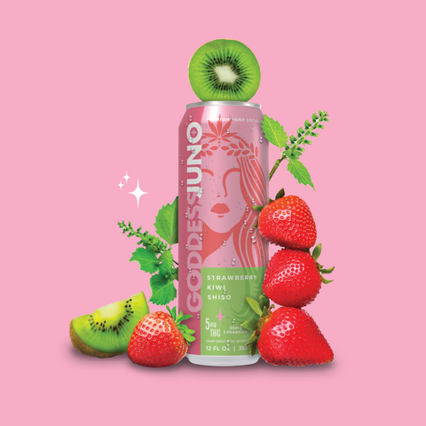 Strawberry Kiwi Shiso THC Infused Social Elixir