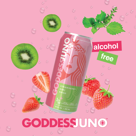 Strawberry Kiwi Shiso THC Infused Social Elixir