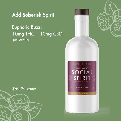 Sober(ish) Starter Kit