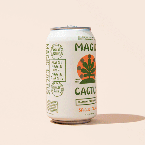 SPICED PEACH