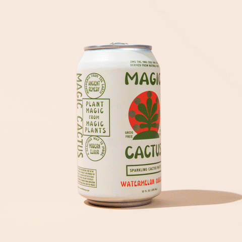 WATERMELON HIBISCUS