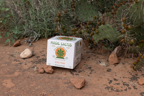 Magic Cactus Spiced Peach - Alcohol Alternative