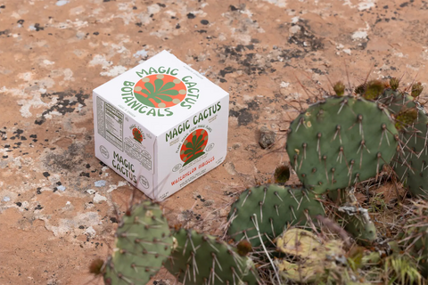 Magic Cactus - Watermelon Hibiscus - The Best Alcohol Alternative