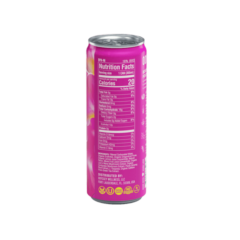 Dragon Fruit Lemonade Sparkling Mushroom Energy Drink 12 Pack by OdysseyElixir