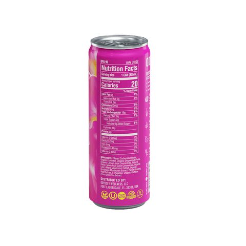 Dragon Fruit Lemonade Sparkling Mushroom Energy Drink 12 Pack by OdysseyElixir