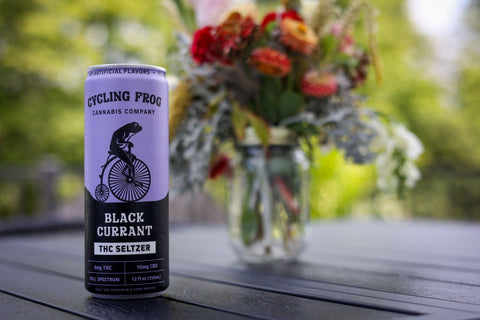Cycling Frog Black Currant 5mg THC Seltzer