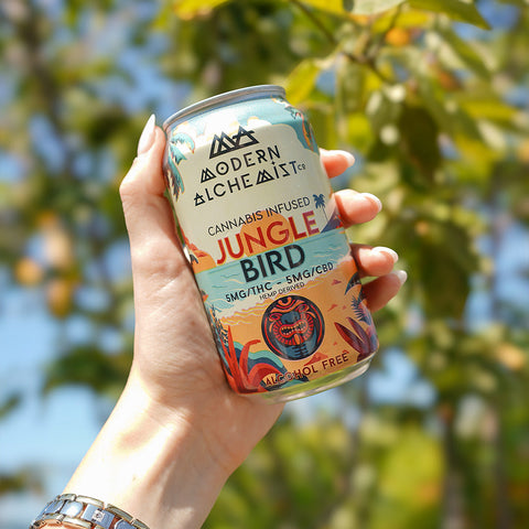 Person holding can of Modern Alchemist Jungle Bird Cannabis Infused Mocktail. Alcohol free.