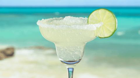 Frozen Margarita