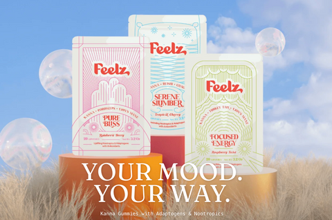 Unlock the Power of Kanna: How Feelz Gummies Support Mood, Focus, and Sleep