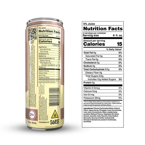 Back of the Drinkin' Buds Piña Colada Double Shot can showing nutrition facts, ingredients, and a 21+ age warning label.