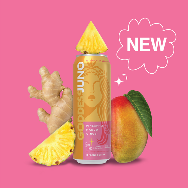Pineapple Mango Ginger THC Infused Social Elixir – SOBER(ISH)
