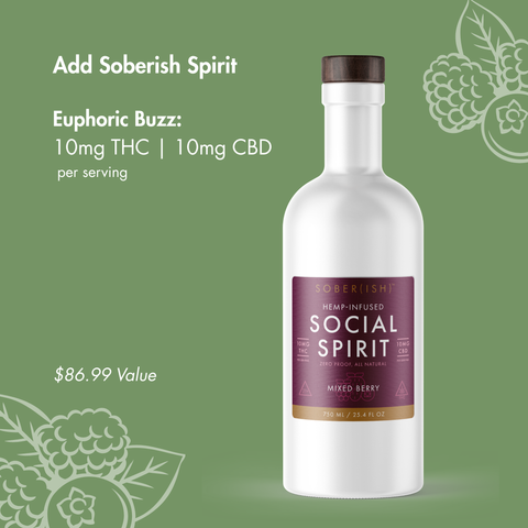 Sober(ish) Starter Kit