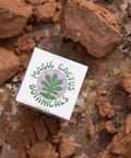 Magic Cactus - Non Alcoholic Hemp Beverages