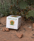 Magic Cactus Spiced Peach - Alcohol Alternative