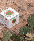 Magic Cactus - Watermelon Hibiscus - The Best Alcohol Alternative