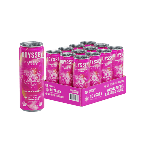 Dragon Fruit Lemonade Sparkling Mushroom Energy Drink 12 Pack by OdysseyElixir
