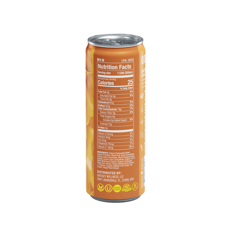 Orange Ginger Sparkling Mushroom Energy Drink 12 Pack by OdysseyElixir