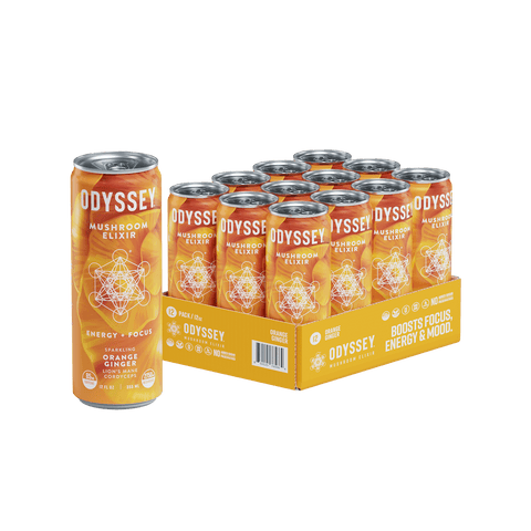Orange Ginger Sparkling Mushroom Energy Drink 12 Pack by OdysseyElixir