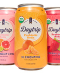daytrip organic prebiotic soda berry citrus grapefruit lime and clementine can renders on white