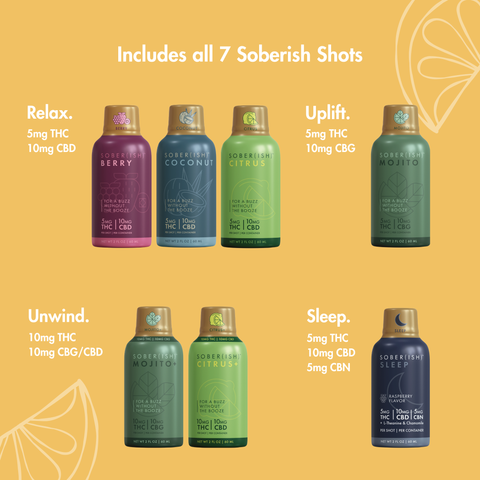 Sober(ish) Starter Kit