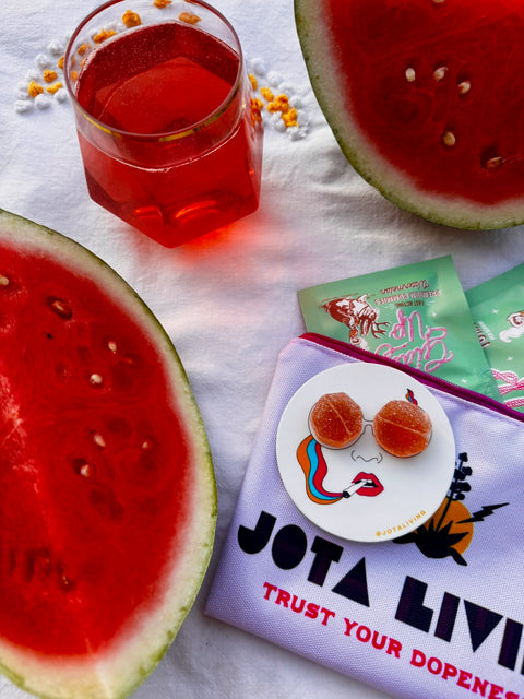 10MG THC Giddy Up Gummies in Watermelon (10 Servings)