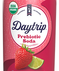 Can render of Daytrip berry citrus prebiotic soda on a white background.