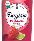 Front can render of Daytrip berry citrus prebiotic soda.