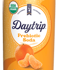 Front can render of Daytrip clementine prebiotic soda.