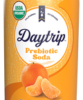 Front can render of Daytrip clementine prebiotic soda.