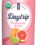 Front can render of Daytrip grapefruit lime prebiotic soda