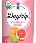 Front can render of Daytrip grapefruit lime prebiotic soda.