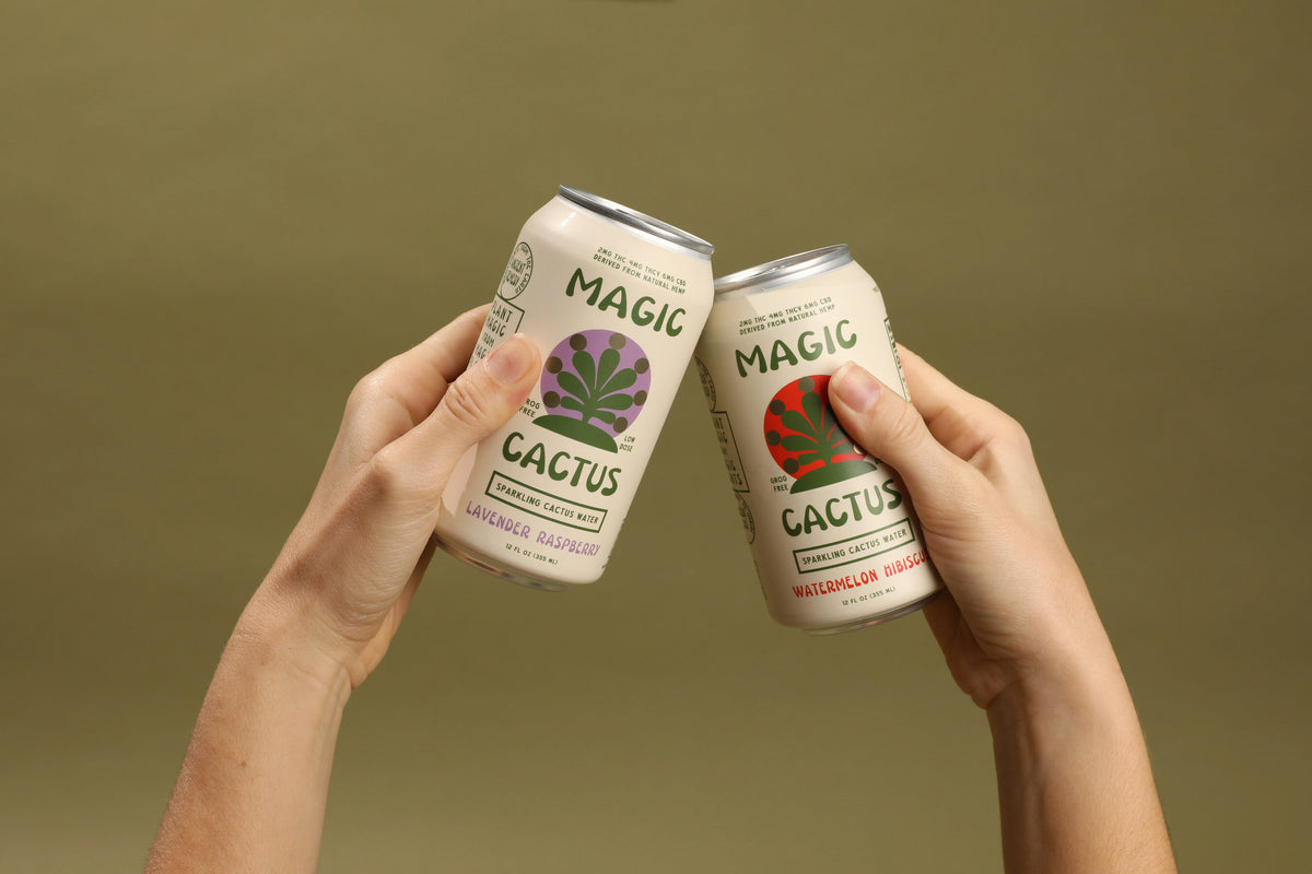 Magic Cactus – SOBER(ISH)