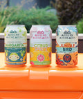 Cans of Variety Pack of Modern Alchemist Cannabis Infused Mocktails including Citrus Spritz, Jungle Bird, and Margarita on top of a cooler. Alcohol free.