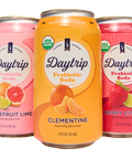 daytrip organic prebiotic soda berry citrus grapefruit lime and clementine can renders on white